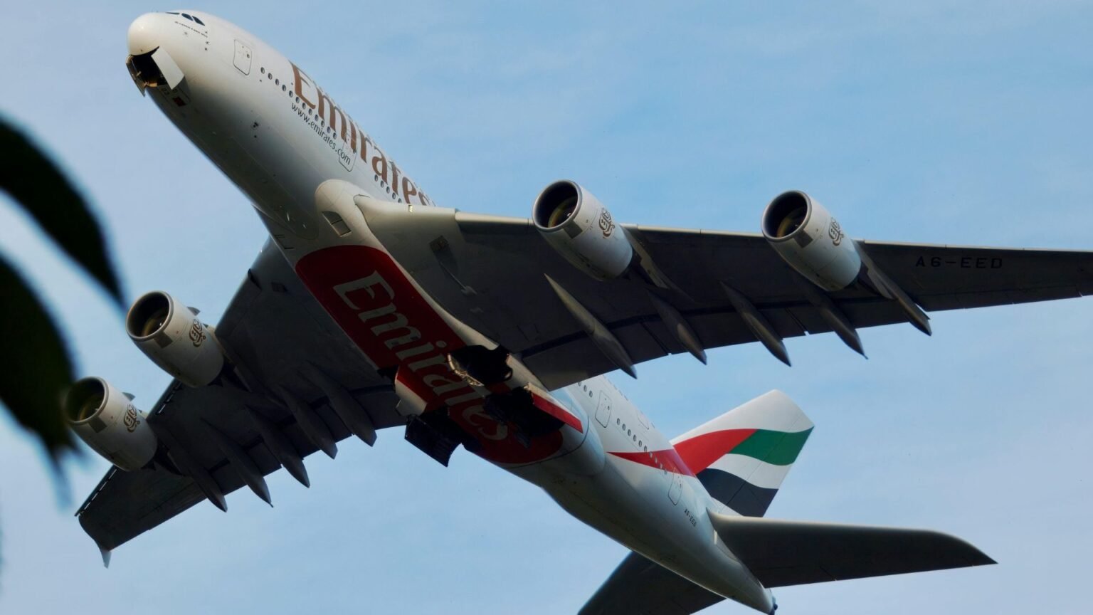 Image hover effect image